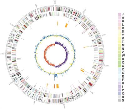 Comparative Genomics Reveals Evidence of Genome Reduction and High Extracellular Protein Degradation Potential in Kangiella